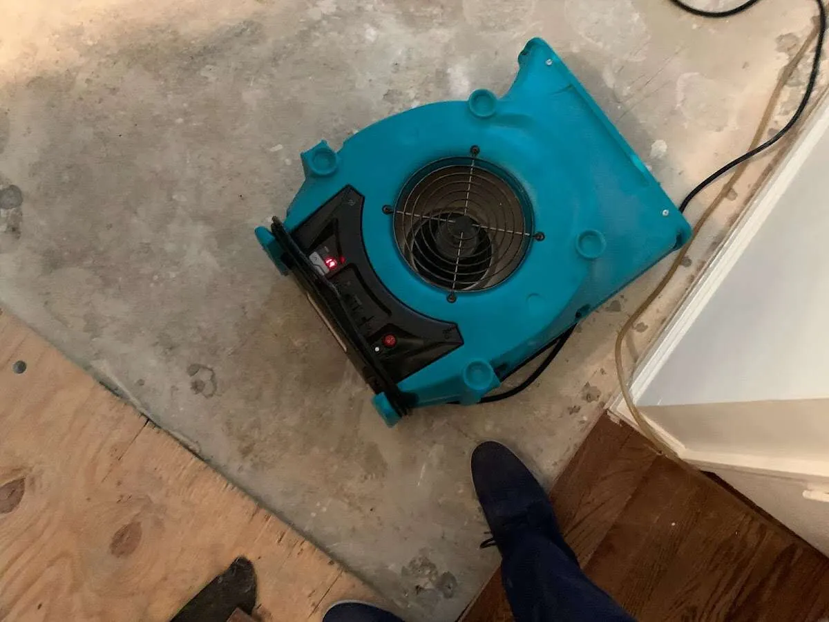 Air mover drying subfloor during Leak Detection & Repair in Anoka